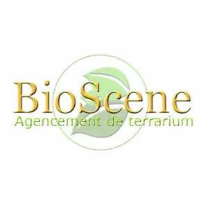 Meuble normal en bois pour terrarium BioScene