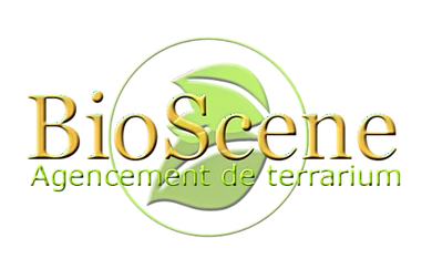 bioscene logo transparent