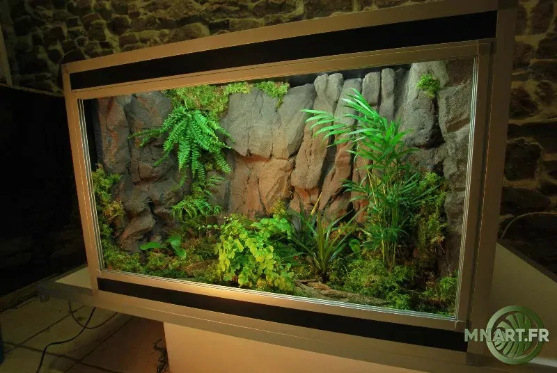 fond decor terrarium sumatra