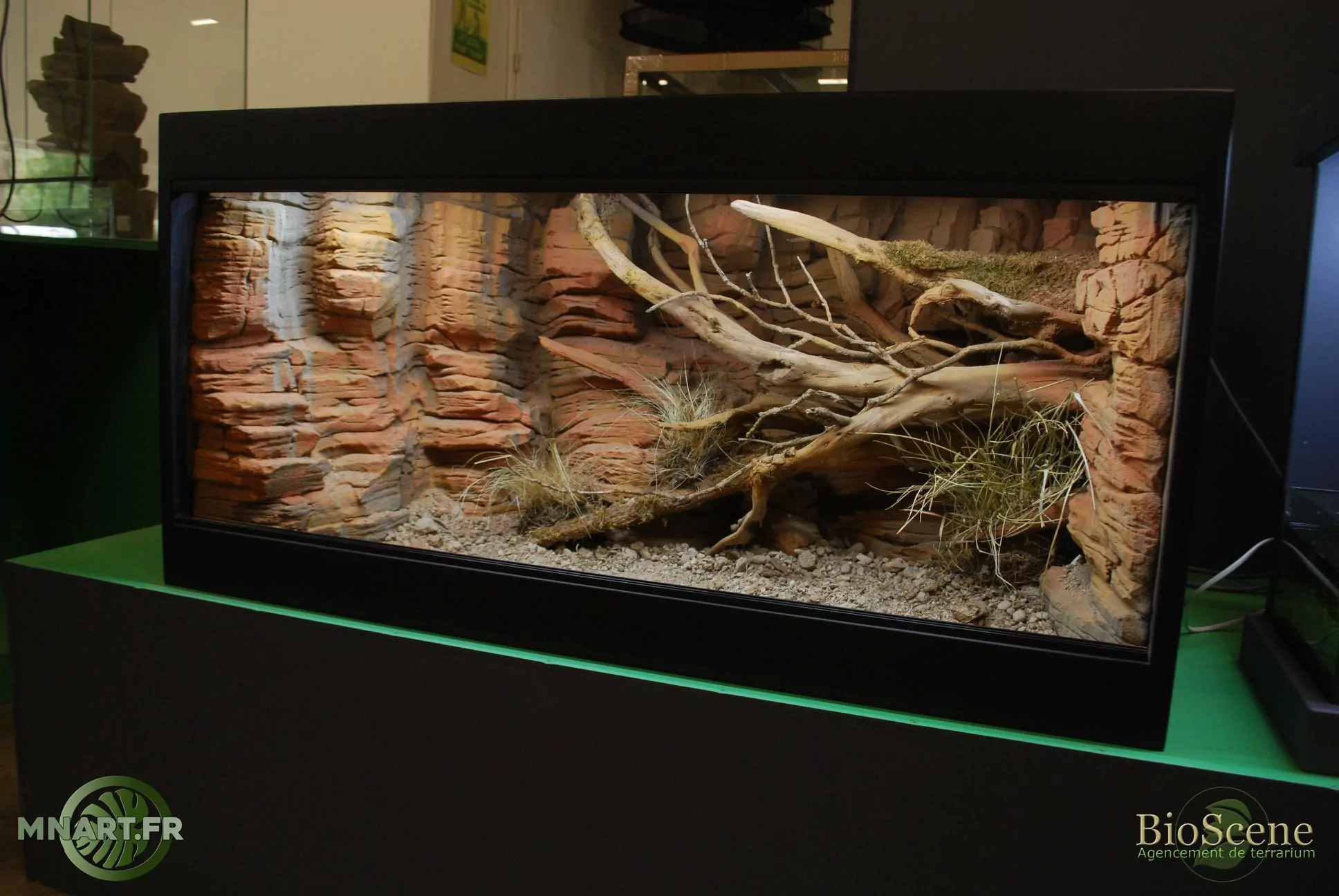terrarium 100x60x50 decor desrtique mnart lezard reptile bioscene