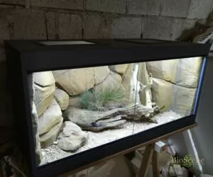 terrarium 120x60x60 decor desertique mnart fabricant lezard reptile made in alsace bioscene