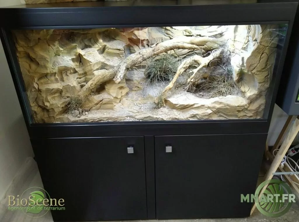 terrarium 120x60x60 decor mnart meuble auxine reptile desertique serpent made in alsace bioscene