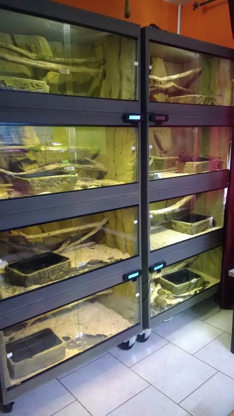 terrarium batterie mnart made in alsace decor desert sur mesure haut de gamme reptile lezard bioscene