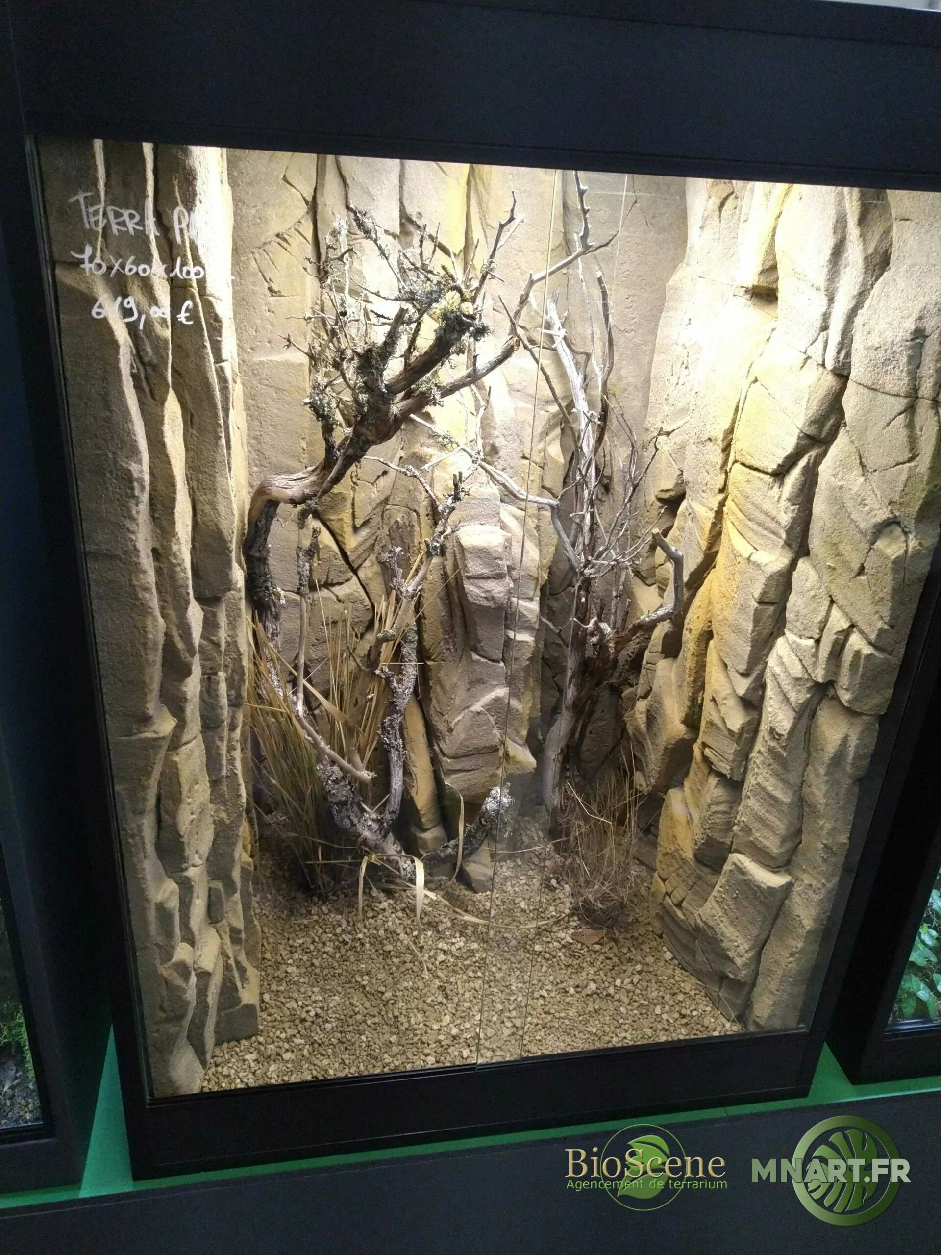 terrarium desertique70x60x100cm bioscene mnart