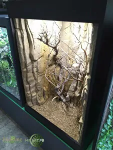 terrarium surmesure bioscene mnart 70x60x100cm desertique arboricole gecko