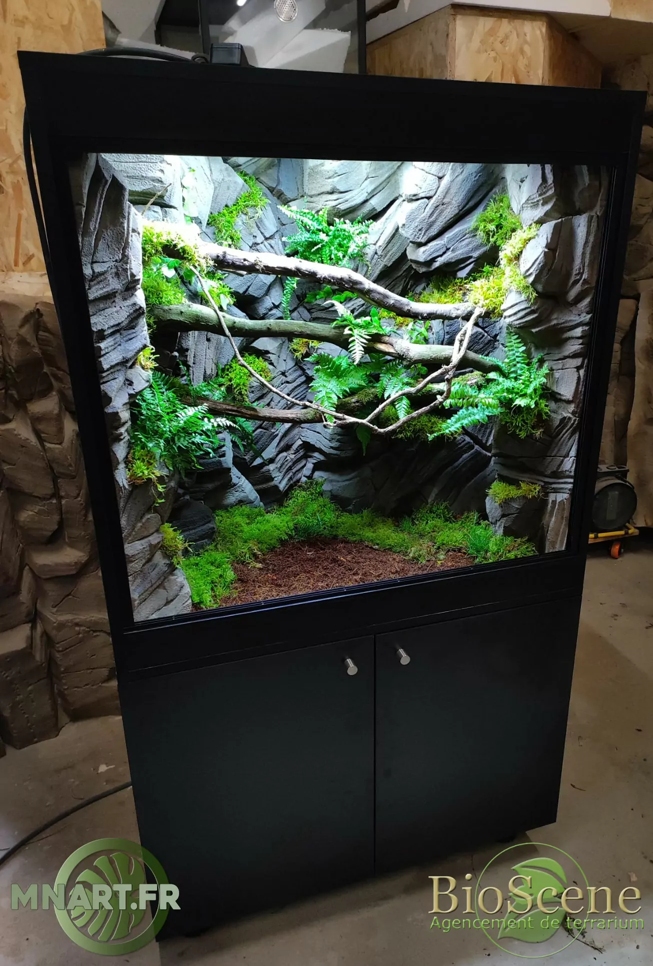 Voici une de nos dernières réalisation de terrarium sur mesure 90x60x90cm pour Corallus Batesii avec décor tropicale MNART.